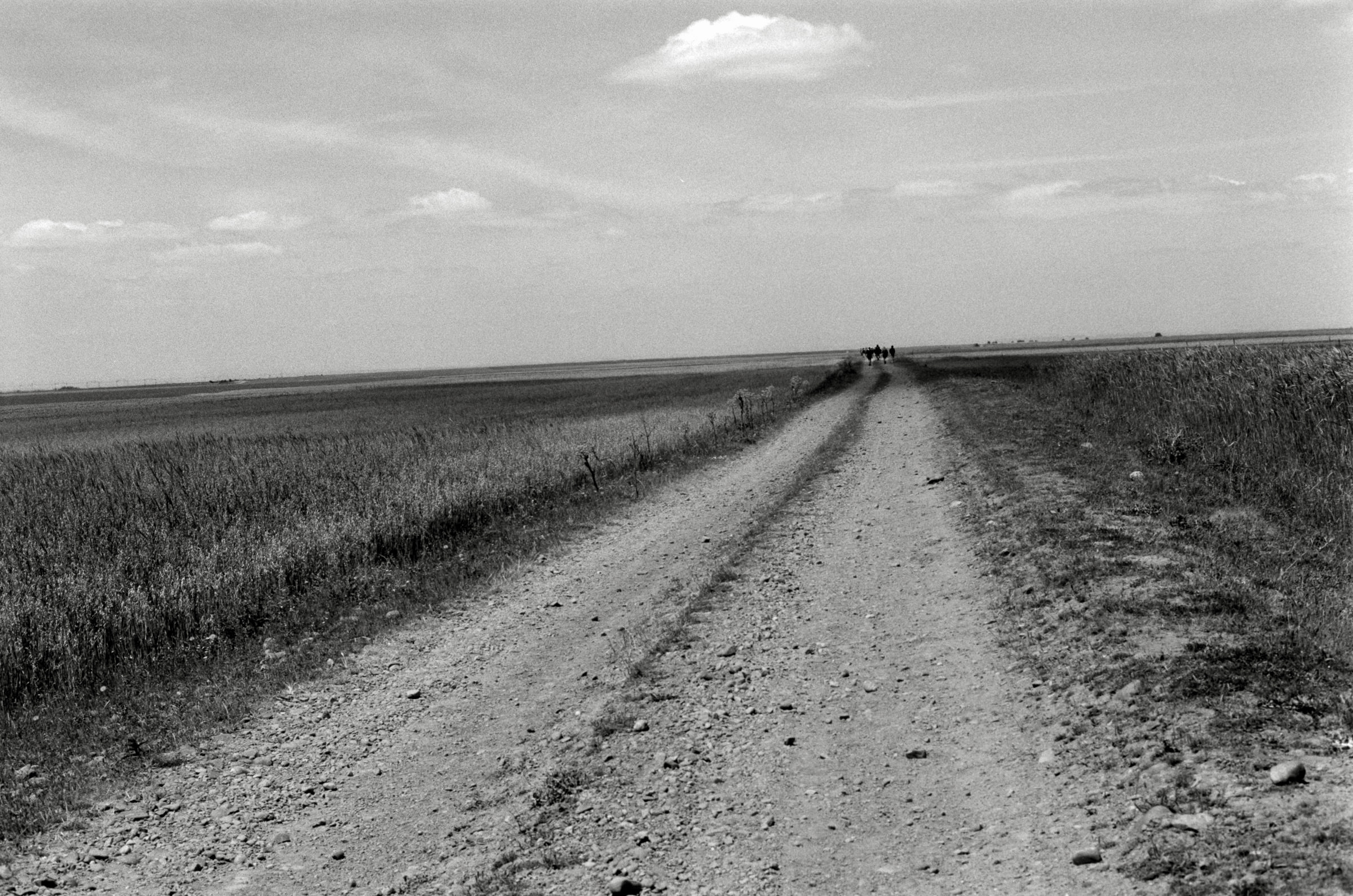 AHP F1995 05 009 sc240826 img34 NLP